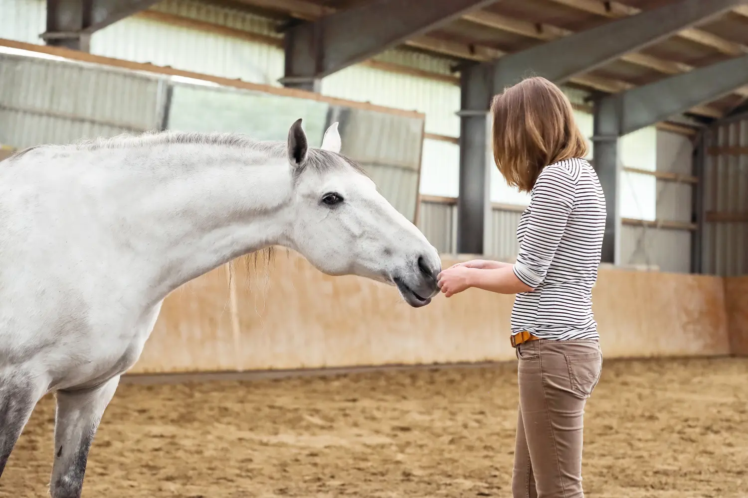 Reiterei trifft Coaching